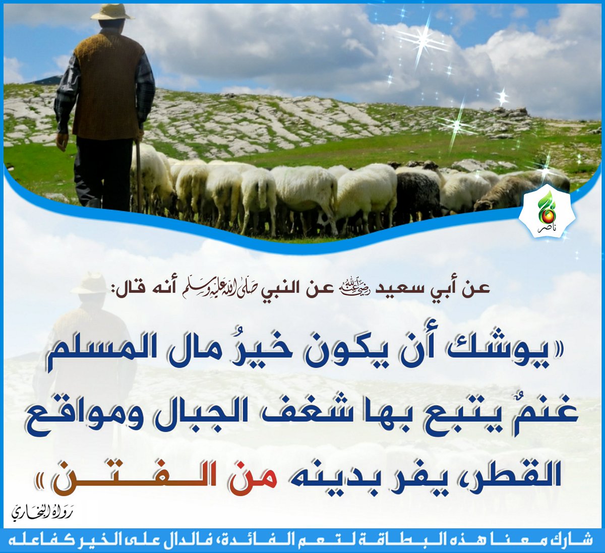 مسلم سني (@khabrecan) on Twitter photo 