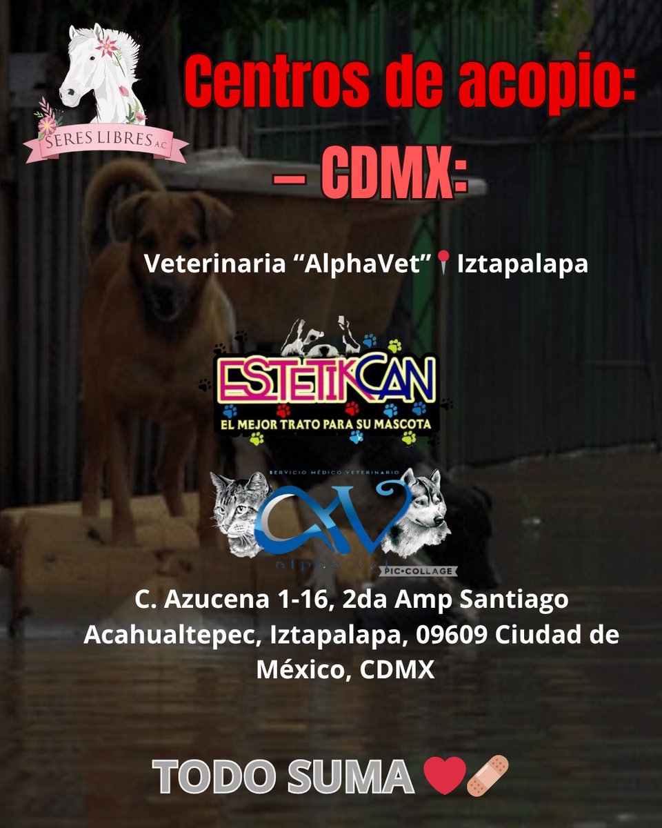 sereslibres_mx's tweet image. 🆘 #BrigadaSeresLibres 🆘 Familia hermosa: NO podemos seguir viendo tantas imágenes de animales sufriendo por las #inundaciones y quedarnos de brazos cruzados, nuestro corazón no resiste más… 

Es por esto que haremos una ⚠️BRIGADA DE AYUDA A ANIMALES DAMNIFICADOS…
