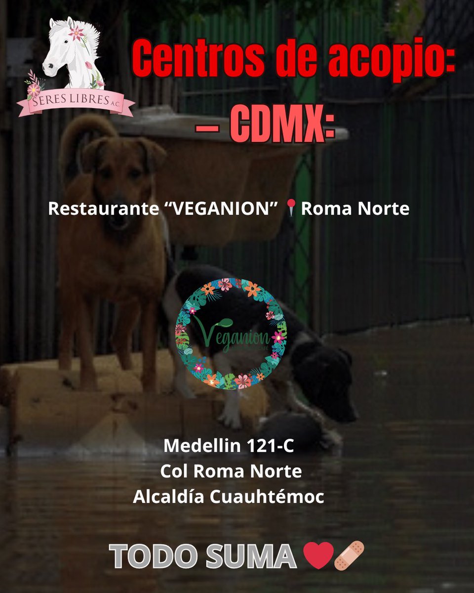 sereslibres_mx's tweet image. 🆘 #BrigadaSeresLibres 🆘 Familia hermosa: NO podemos seguir viendo tantas imágenes de animales sufriendo por las #inundaciones y quedarnos de brazos cruzados, nuestro corazón no resiste más… 

Es por esto que haremos una ⚠️BRIGADA DE AYUDA A ANIMALES DAMNIFICADOS…