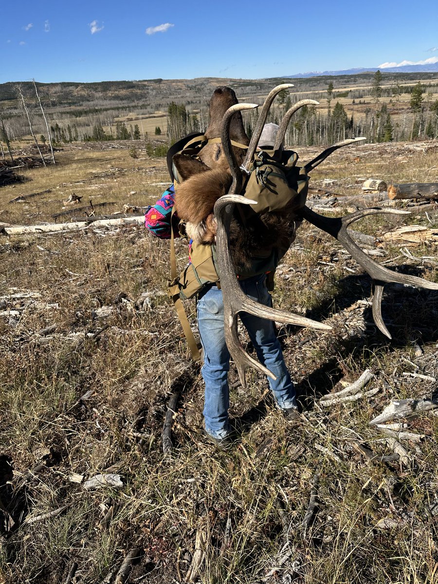 Another day at the office