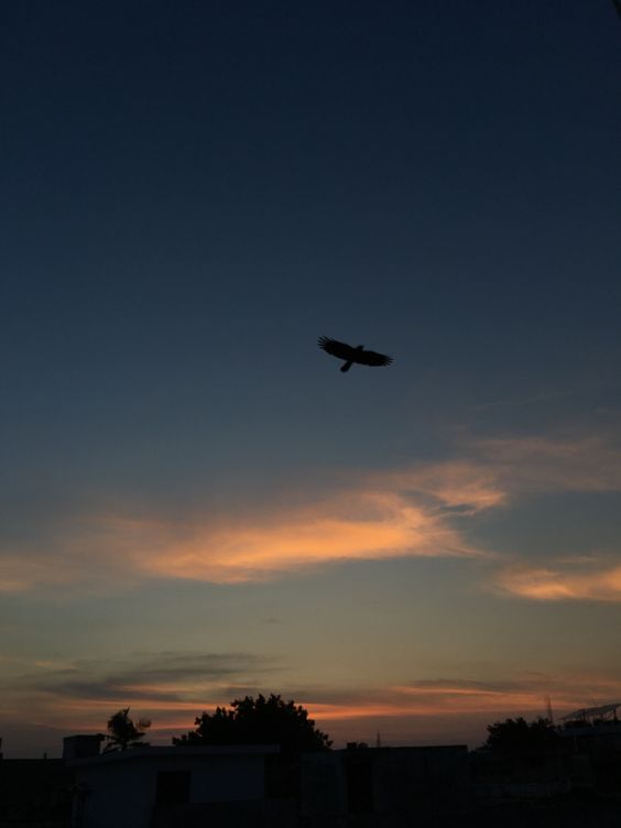 ميزر الجعيثن tweet media