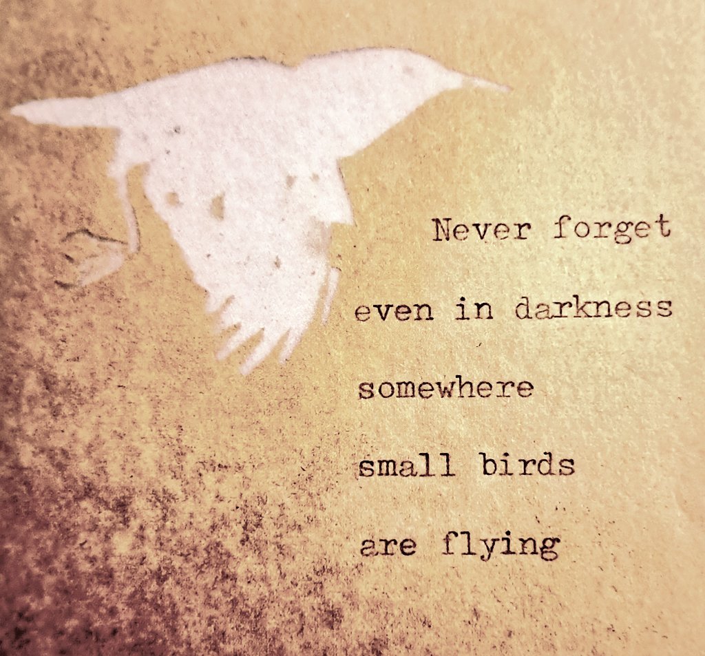 arealmofwonder's tweet image. • Jackie Morris •