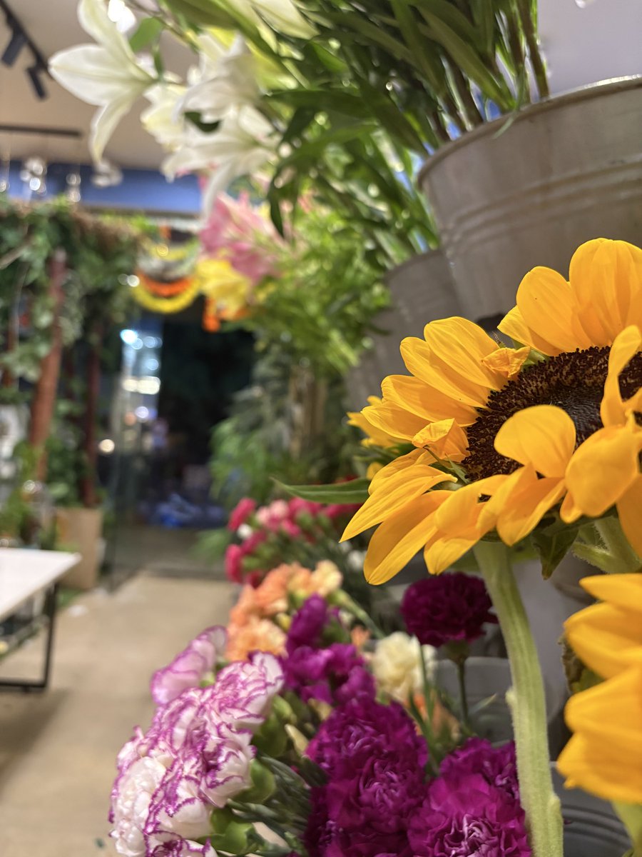 lassiecoder's tweet image. Now only flowers can fix me 🙂‍↔️

#flowerknows