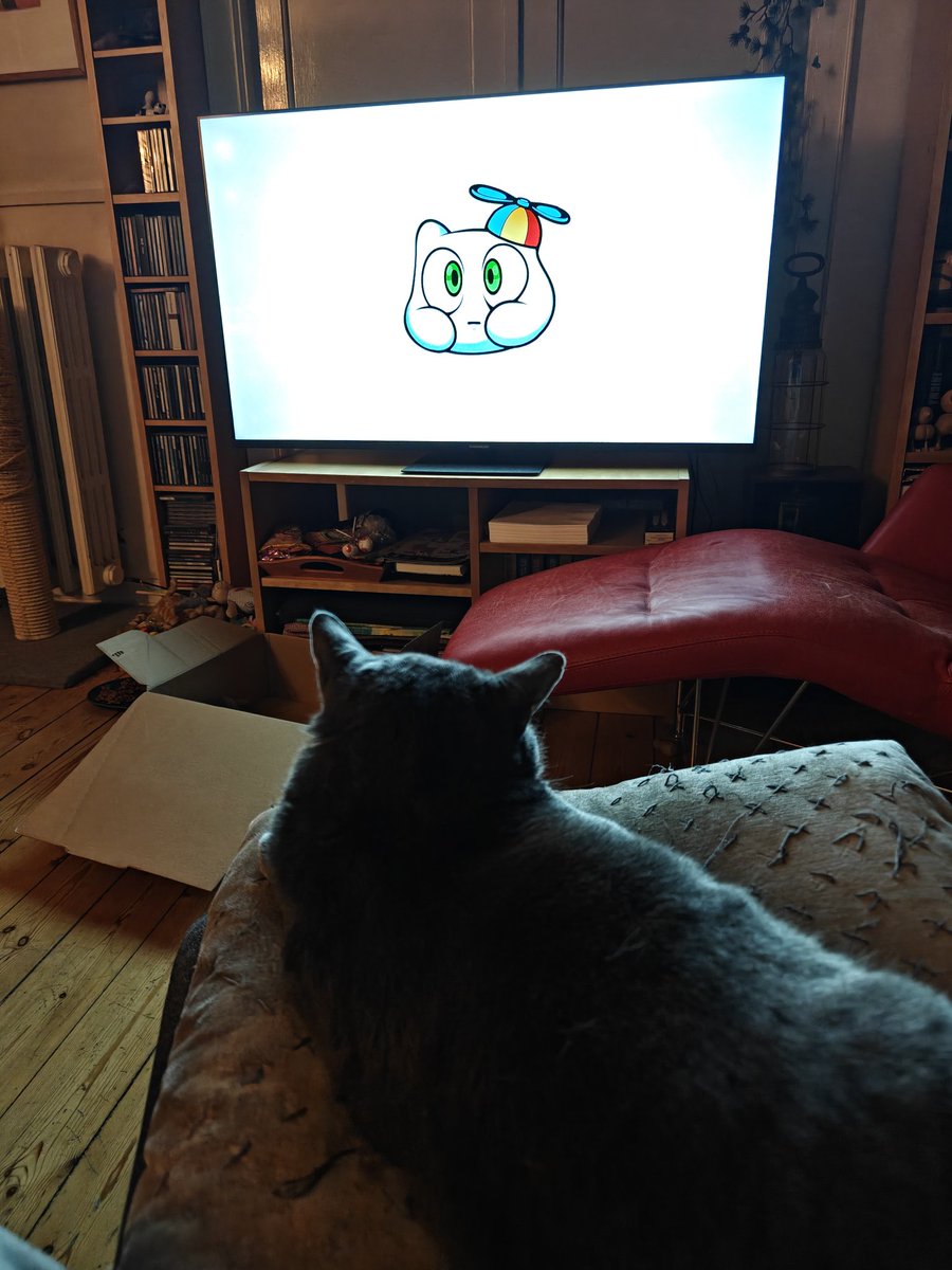 QuizmasterKevin's tweet image. My cat is very invested @SMii7Y
