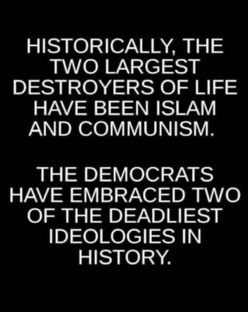 At this point in time, I believe that it’s best to just let democrats continue to do their thing. 😏