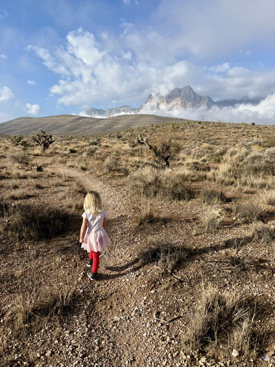 Alex Honnold tweet media