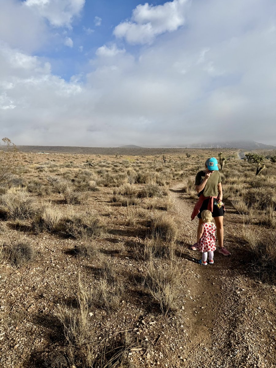 Alex Honnold tweet media