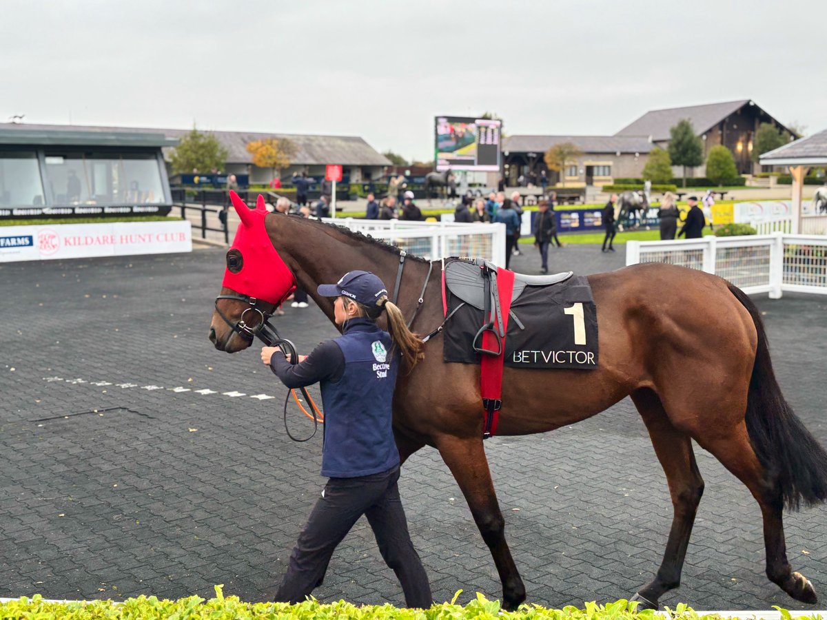 👑 King Of Kingsfield had to dig deep and fight to win today, not a superstar but given a chance in those types of races and quick ground which is key to him, he will win a couple more races.