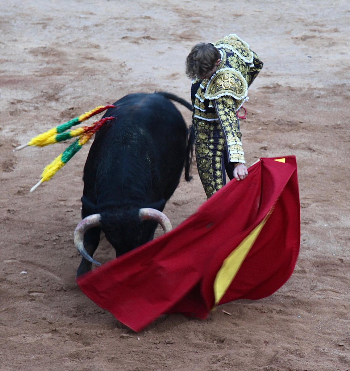 ~El Real de San Vicente, 3 orejas y rabo~

Una plaza detenida en el tiempo, de esas que ya casi no existen. La España profunda que emociona, y su gente… imposible de olvidar. Siempre tendrás tu rincón en mi memoria.
