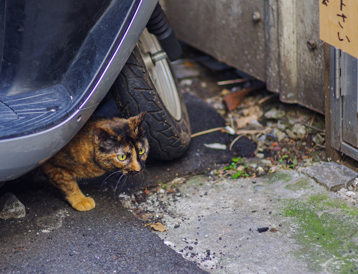 おはよう木曜日