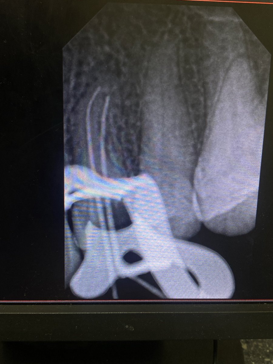 أسـرار (@acsi_11) on Twitter photo 