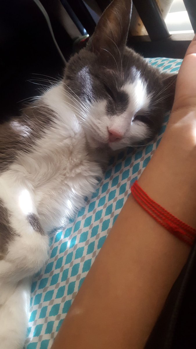 Alpha Namgi Fest *Prompting/Claiming* tweet media