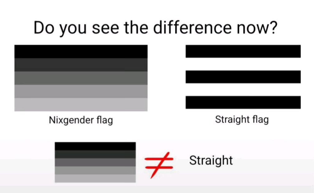 I love how all the homophobic straight people on TikTok use the wrong flag
