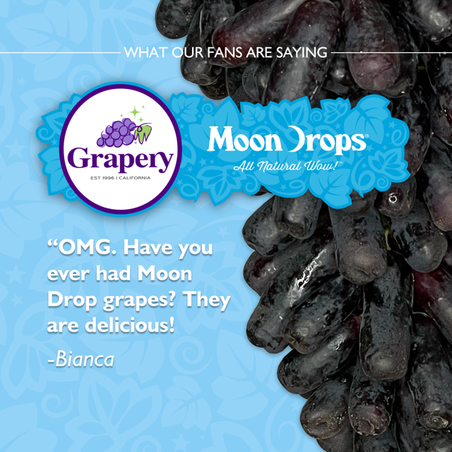 Grapery tweet media