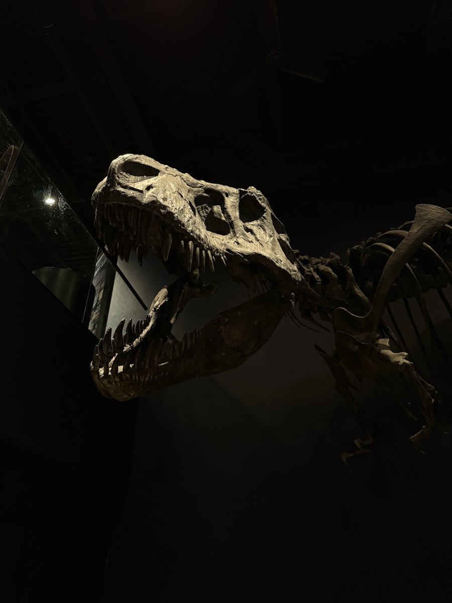 k1mvc's tweet image. 