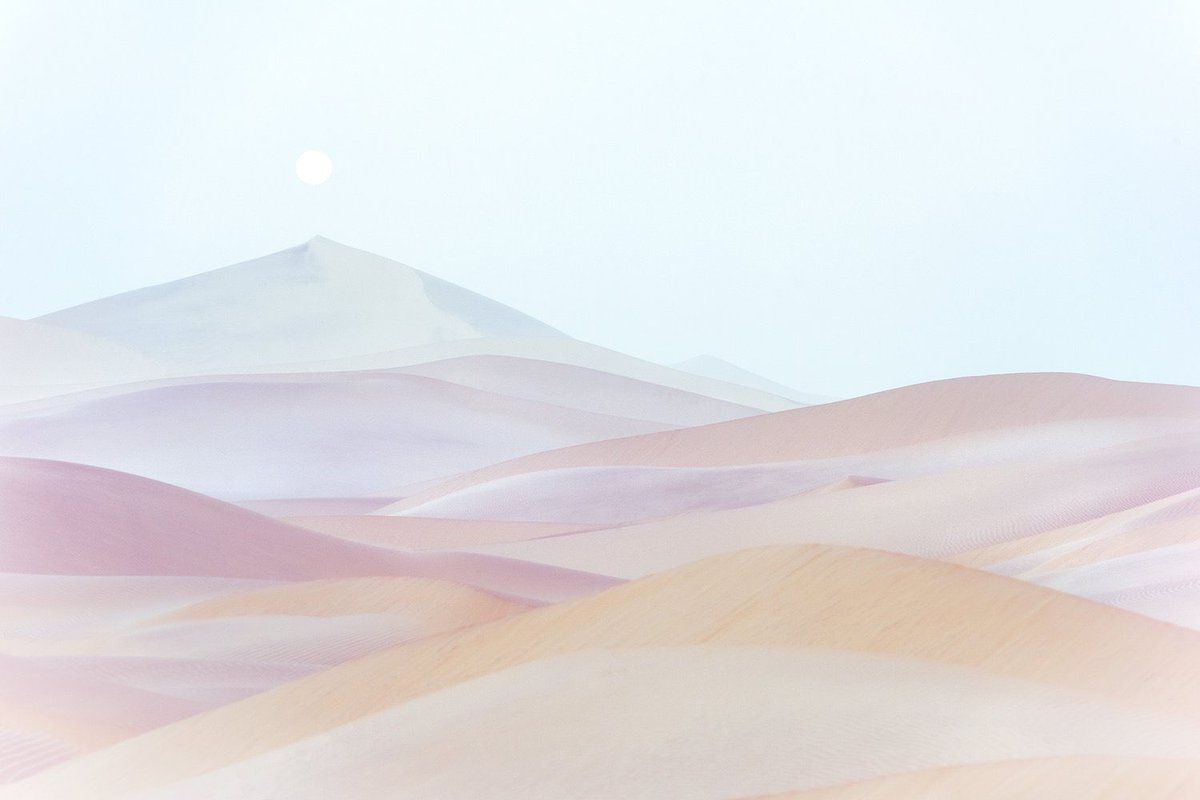 jerad armijo tweet media