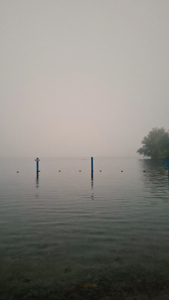 Whatever happens, #grief will have her way. humanparts.medium.com/whatever-happe…