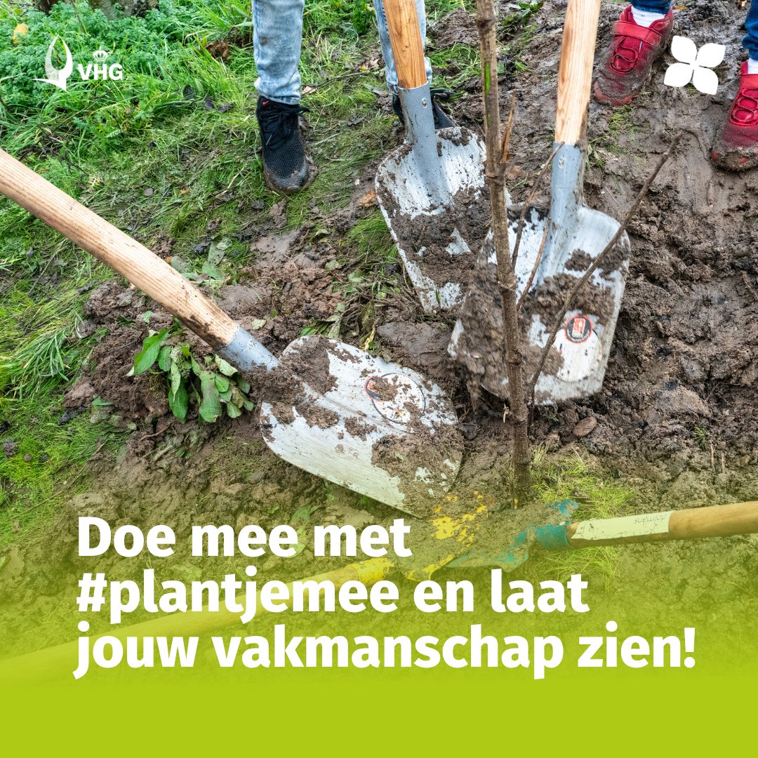 De herfst is hét seizoen om te planten! Doe mee met #plantjemee en laat jouw vakmanschap zien. Download de gratis campagnekit: plantmee.nl/meedoen
#VHG #groen #herfst #duurzaam