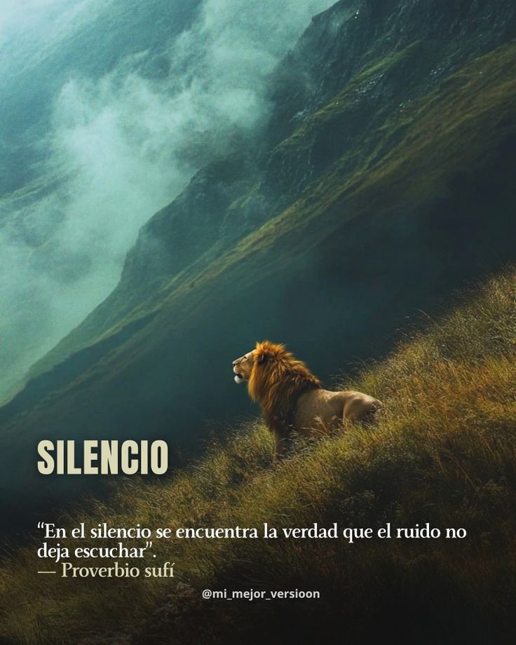 "En el silencio se encuentra la verdad que el ruido no deja escuchar."

— Proverbio Sufi 

🏞️🦁🌞🌾🌱🌼