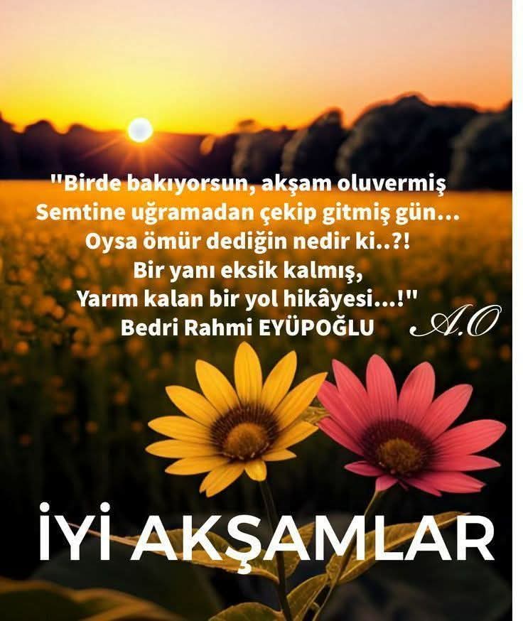 Hayırlı huzurlu mutlu akşamlar