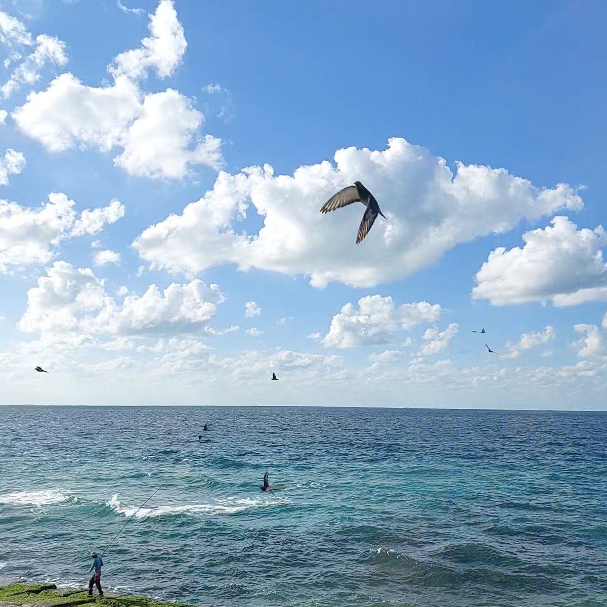 يا حبيبتي يا إسكندرية