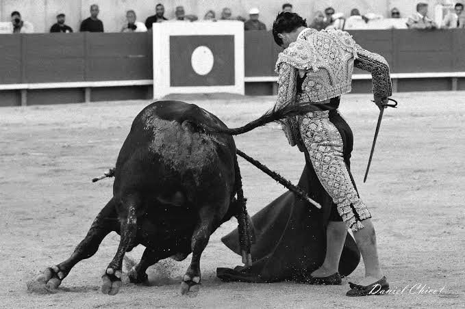 Que no se os olvide, cómo a los empresarios, este torero.
Mario Navas. Injustamente tratado en la casi terminada temporada.
A mi personalmente me encanta!