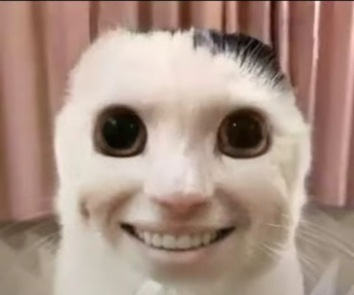 MontpellierBloom (@weneed2bantech) on Twitter photo 