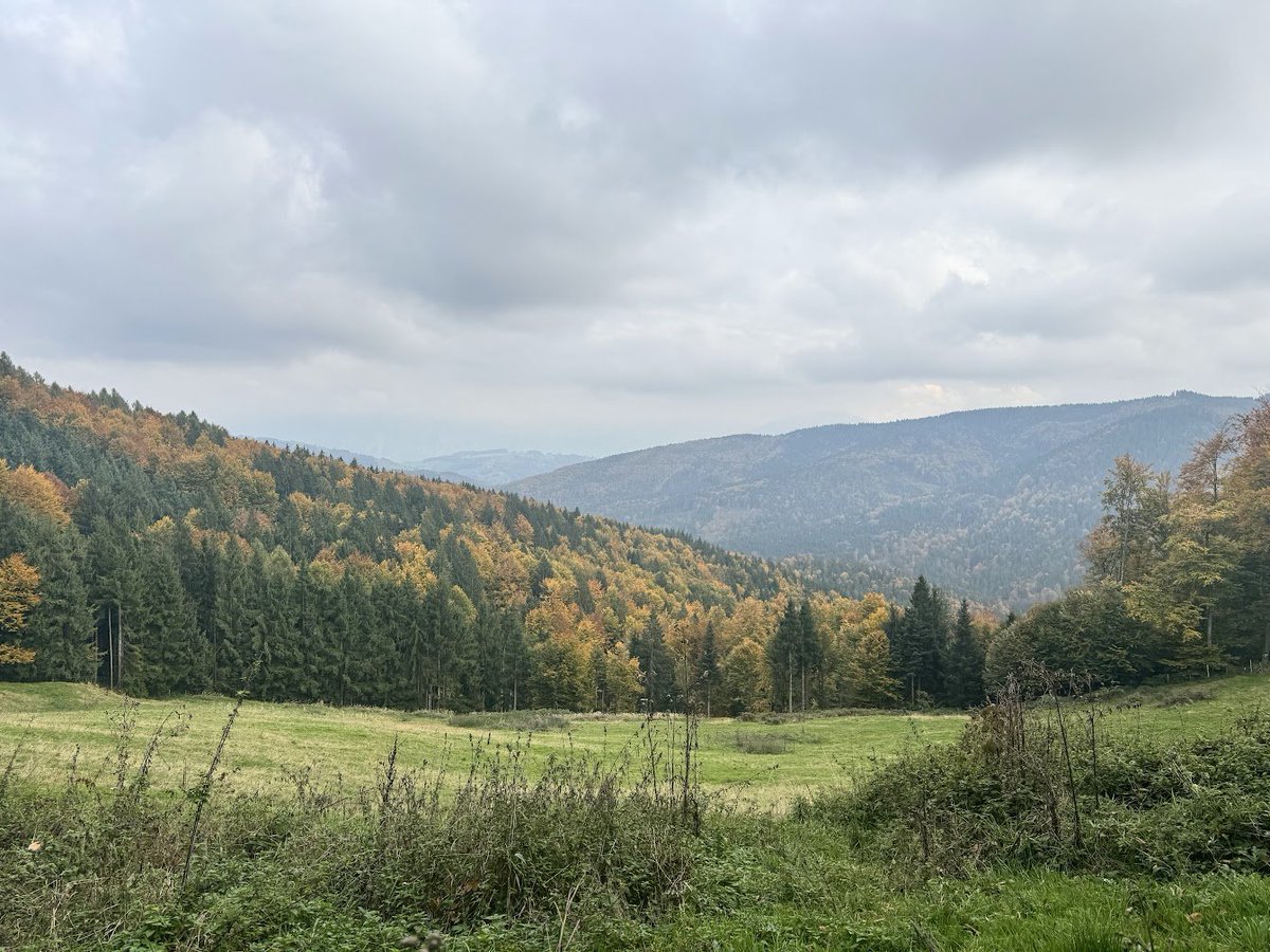 Herbstpracht