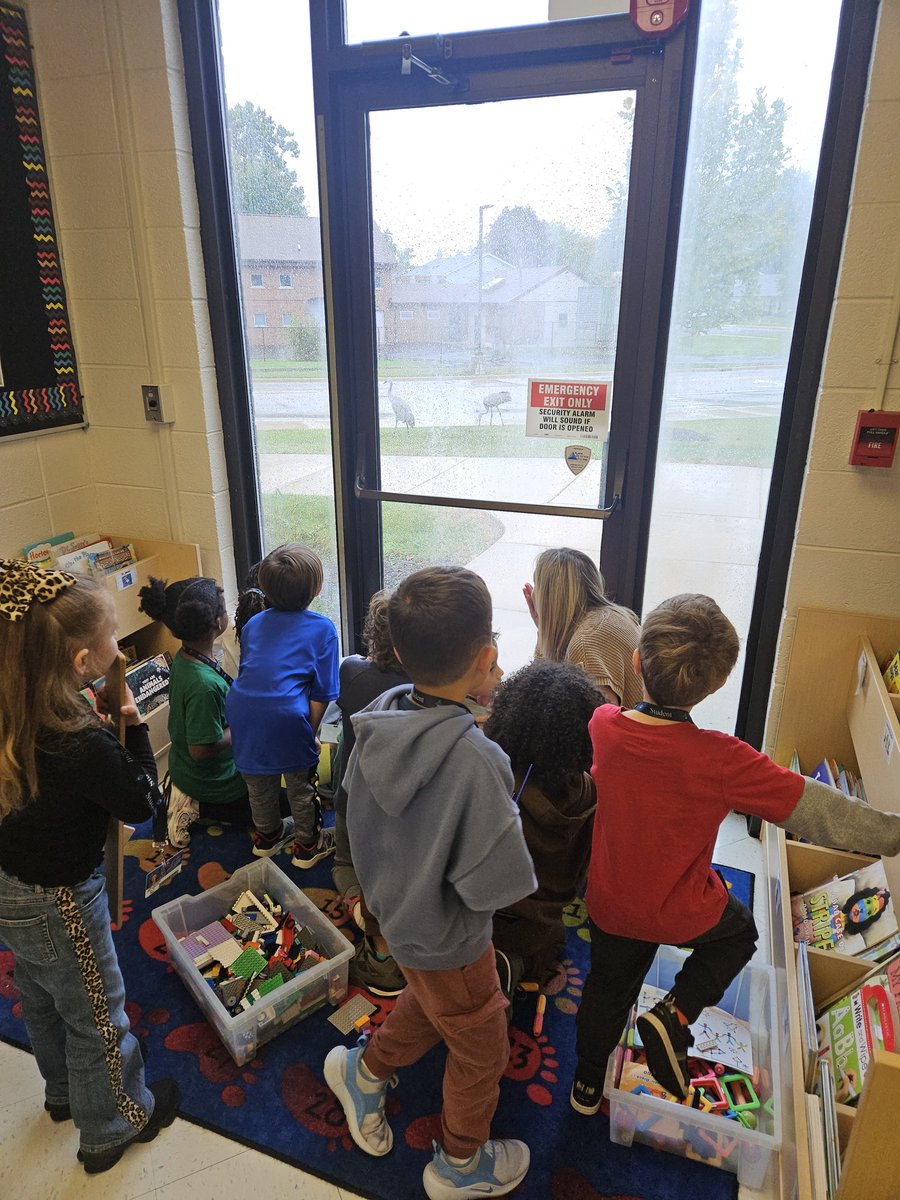 <a href="/SAHedstrom/">Liz Hedstrom</a> and her students had some crane-tastic visitors today! I couldn't wait to tweet tweet about it! 🐦  #bulldogbest #sabulldogs #empower95