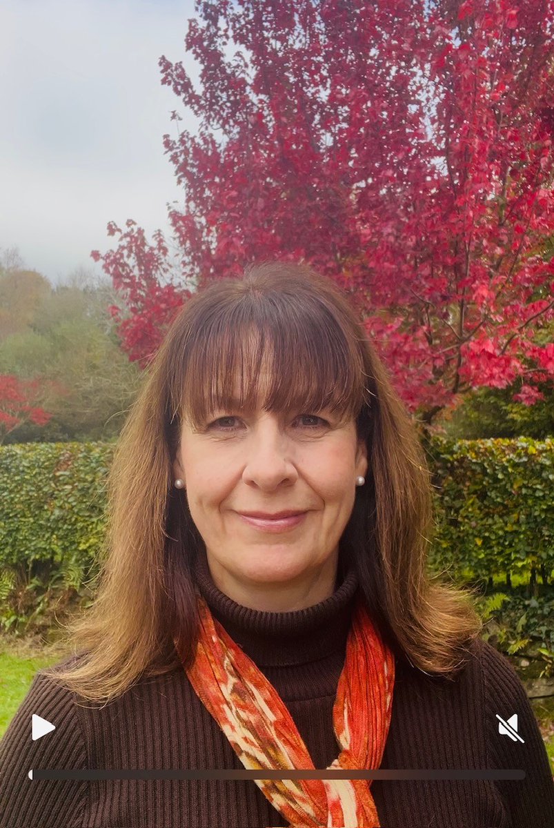 Momentum tweet media