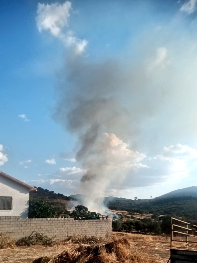 Batallón T-15 tweet media