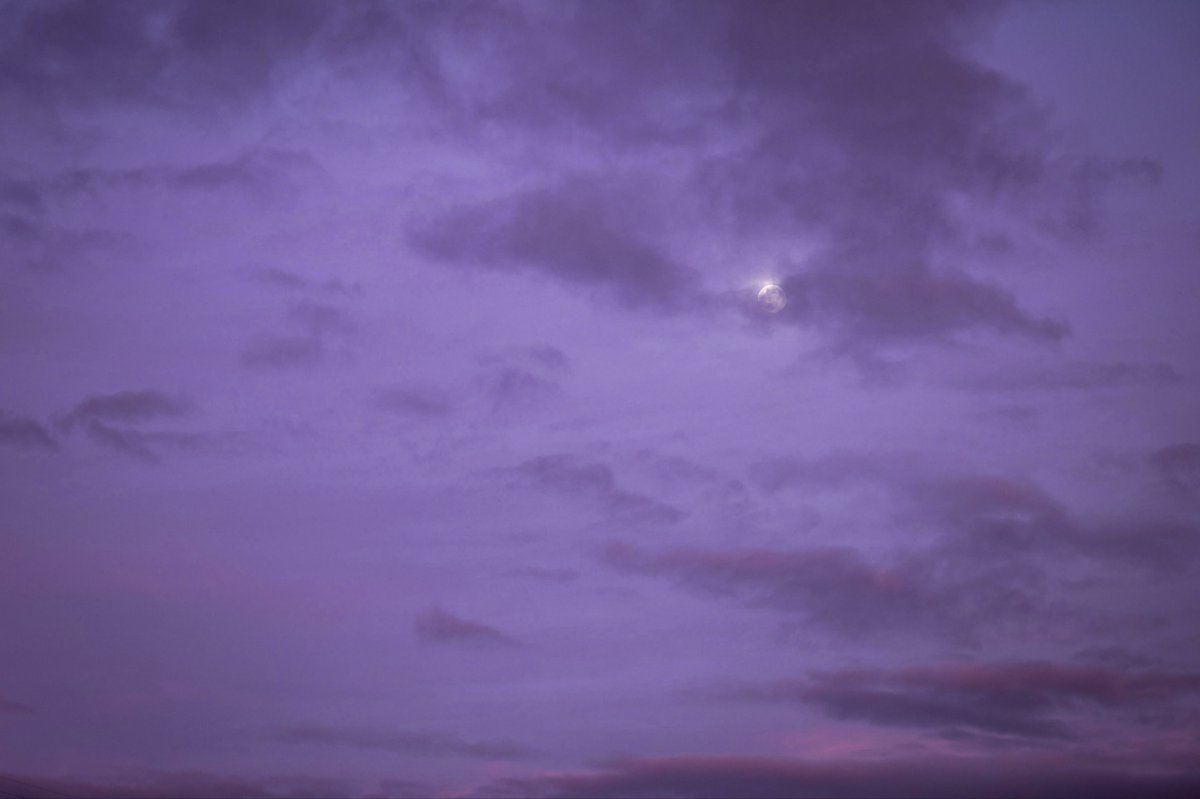 studio ghibli (@gardenofghibli) on Twitter photo 