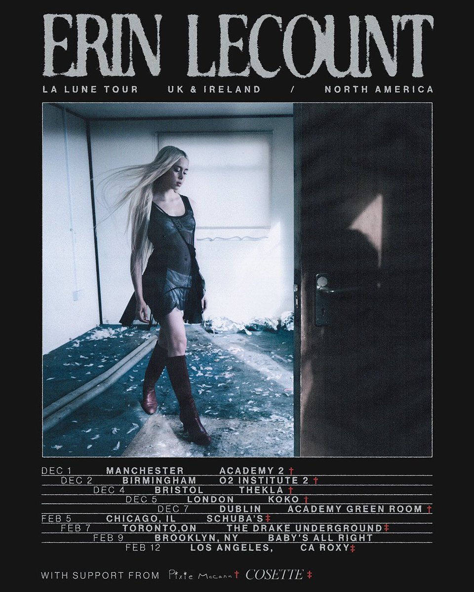erin lecount tweet media