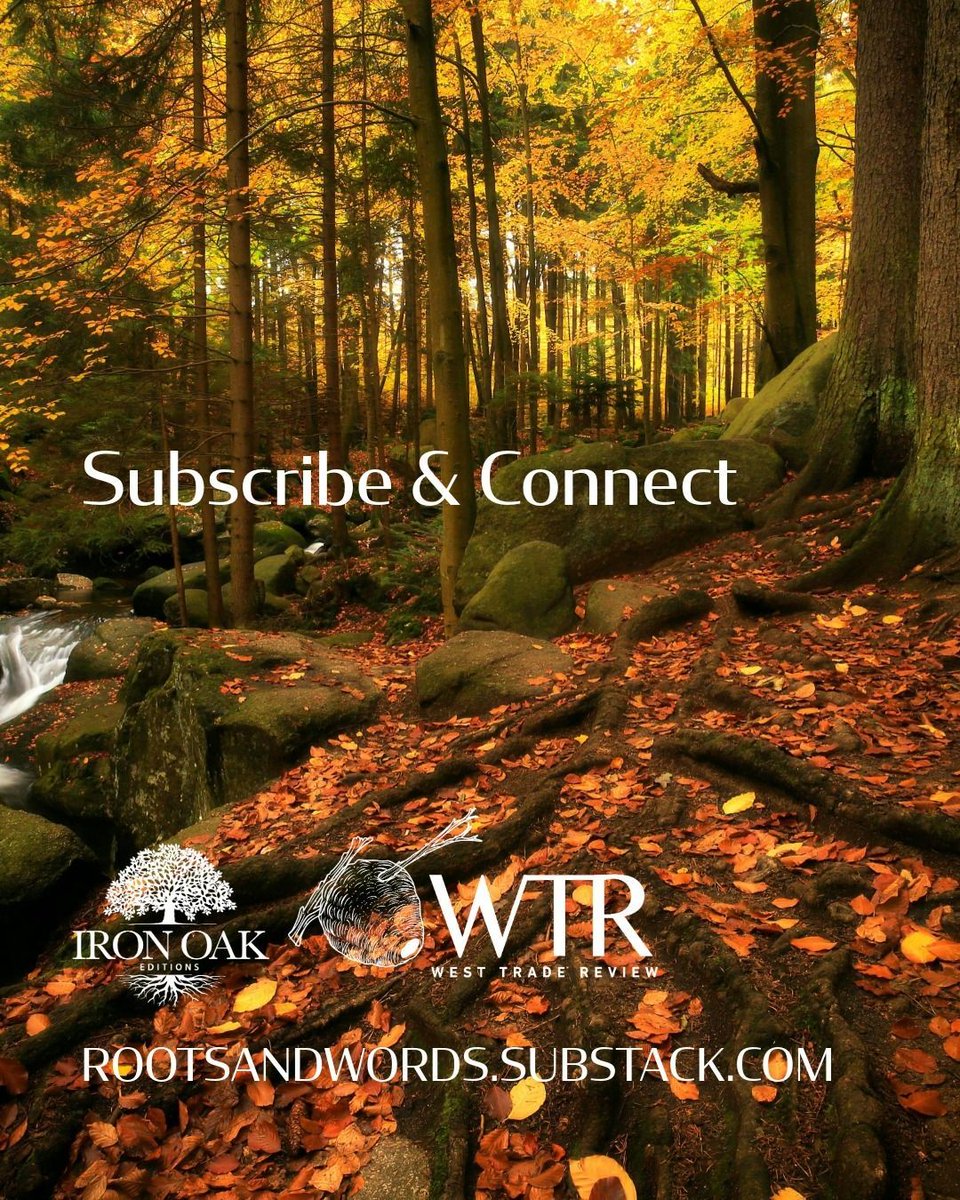 Get inspired. Connect with others. Subscribe to our Substack for our free monthly newsletter or become a monthly or annual subscriber for exclusive poems, essays, and community conversations.

Details at the link below:

buff.ly/962ZfyM

#writingcommunity