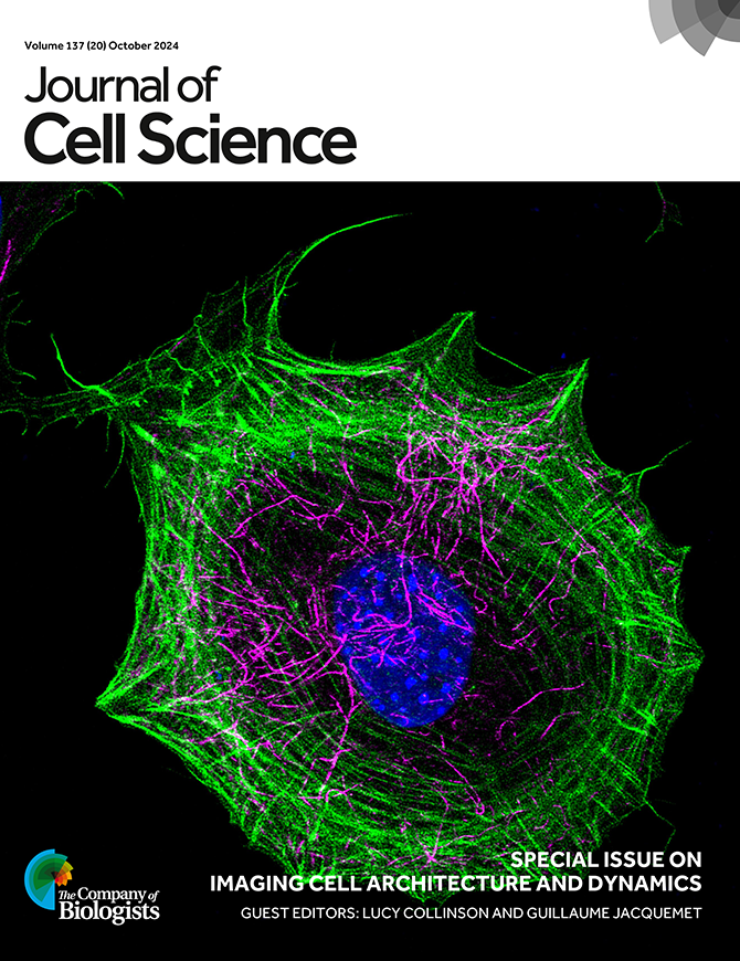 J_Cell_Sci's tweet image. Attending #Mifobio2025 (or interested in progress in bioimaging)? Check out our Perspective article celebrating 20 years of the @GDR_ImaBio consortium: 

journals.biologists.com/jcs/article/13…

Part of our special issue on &apos;Imaging Cell Architecture and Dynamics&apos;
journals.biologists.com/jcs/issue/137/…