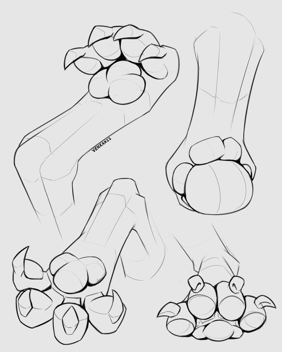 Paw study