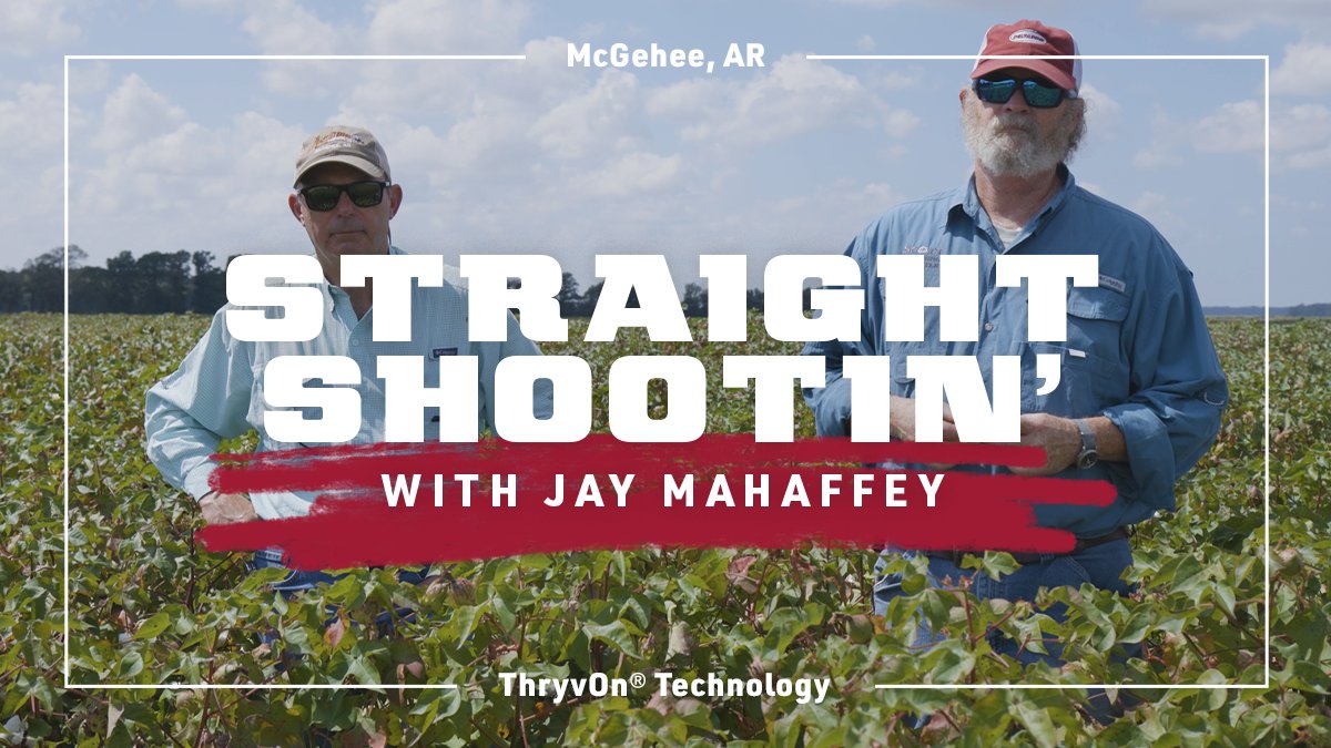 The latest Straight Shootin' with Jay Mahaffey is live. Check out Jay’s visit to McGehee, Arkansas, with Sam and John Arthur Whitaker and others as they evaluate their #ThryvOnTechnology fields pre-harvest. Take a look! 🚜 spr.ly/6010AtxZY

#StraightShootinwithJay