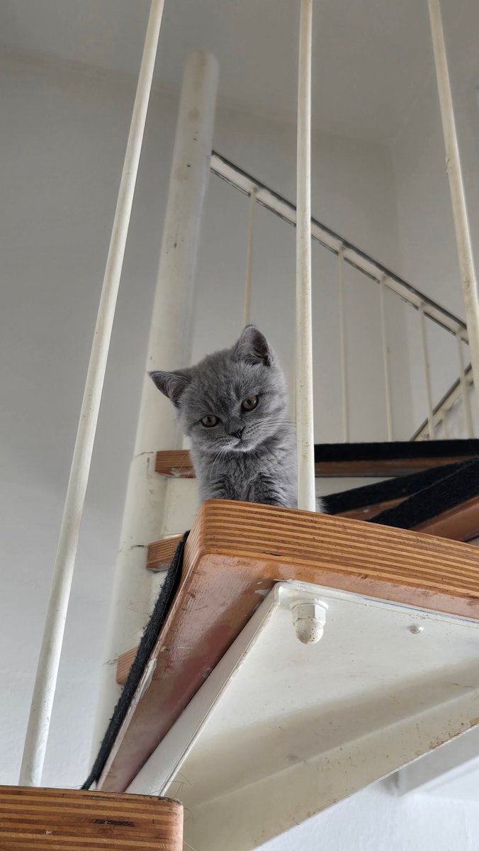 They grow up so fast 😔💔