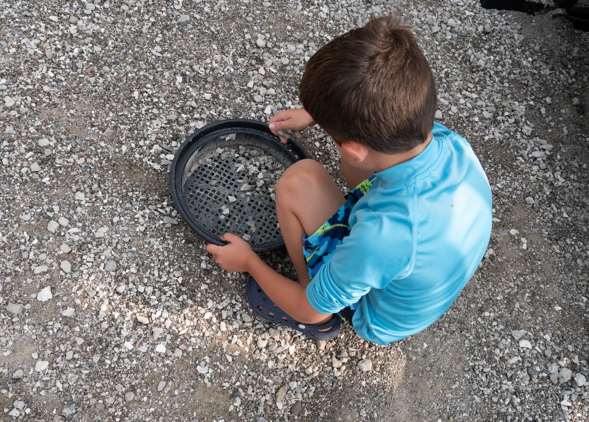 NCAquariumatPKS's tweet image. 🦖 🦪 🦕 It’s #NationalFossilDay! DYK fossils are the remains or traces of living organisms!? The sea floor is a great place for fossilization, which is why many fossils are marine animals. See if you can find some in our Fossil Dig next time you visit! #Fossil #FossilDig #NCAPKS