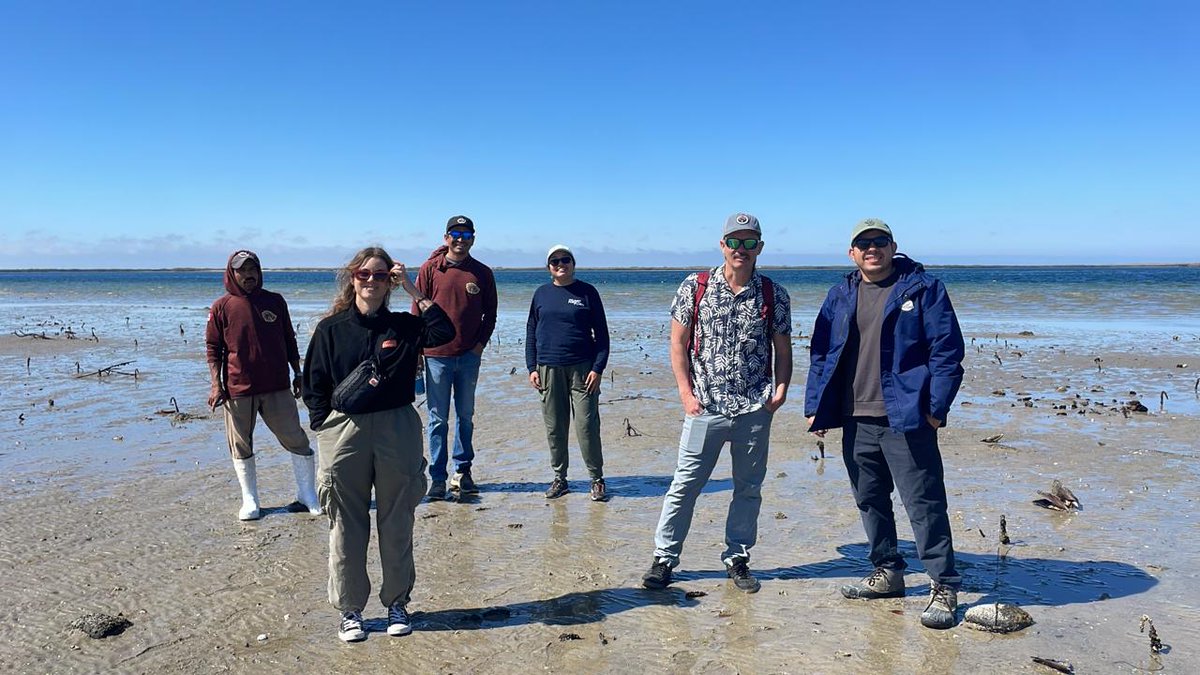 🌊 <a href="/EDF_Espanol/">EDF en Español</a>, <a href="/SMTPSF/">Schmidt Marine</a>, Innovaciones Alumbra y Builders Initiative trabajamos junto a comunidades costeras en #BajaCaliforniaSur para probar nuevas herramientas tecnológicas que fortalezcan la sostenibilidad y resiliencia de las pesquerías y ecosistemas marino costeros. ⚙️🐟