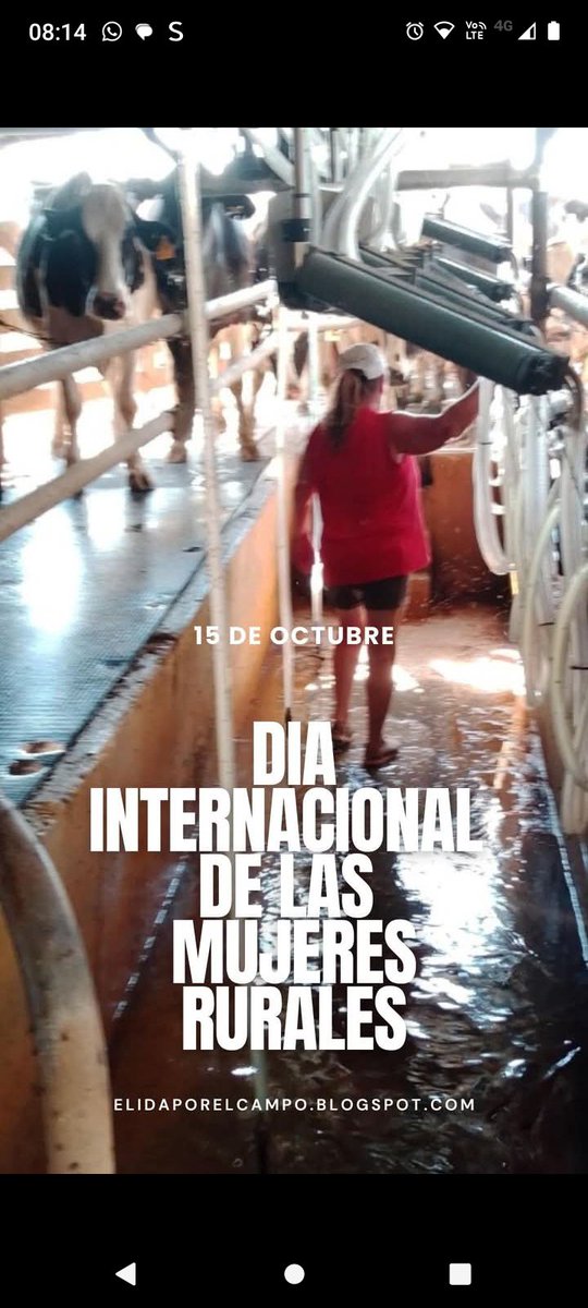 Muy FeLiz Diaaaa Mujeres Rurales !!Dios las Bendiga Siempre 💞 #tambo 🫶🏽🐄🐄🐄