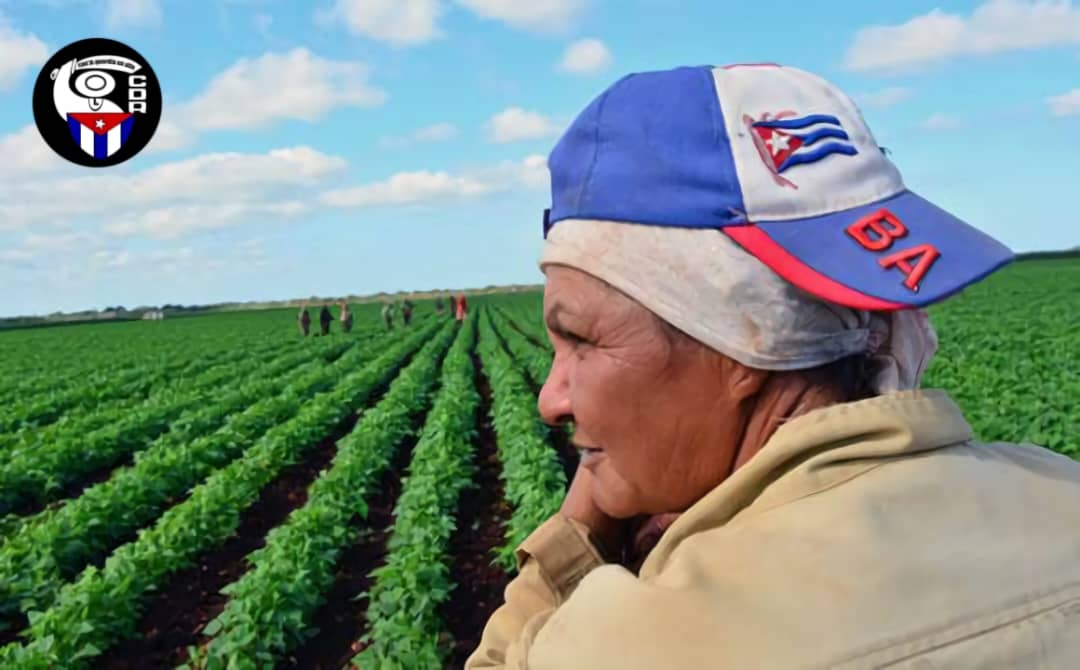 Carlos Manuel Atencio Quintana (@carlosmanuelat3) on Twitter photo Muchas felicidades a la mujer rural en su día.
#Campechuela #ProvinciaGranma <a href="/YudelkisOrtizB/">Yudelkis Ortiz Barceló</a> <a href="/YanetsyTerry/">Yanetsy Terry Gutiérrez</a>. Muchas felicidades a la mujer rural en su día.
#Campechuela #ProvinciaGranma <a href="/YudelkisOrtizB/">Yudelkis Ortiz Barceló</a> <a href="/YanetsyTerry/">Yanetsy Terry Gutiérrez</a>.