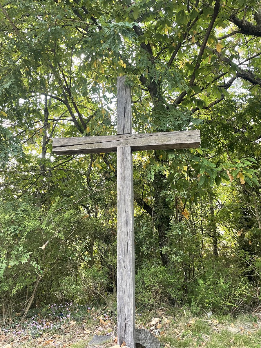 Ciccada Philippe (@philippeciccada) on Twitter photo 