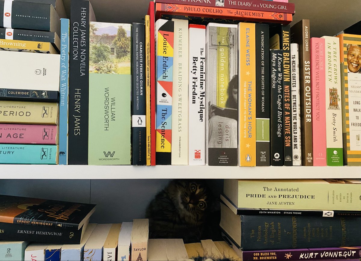 RoryPlays tweet media