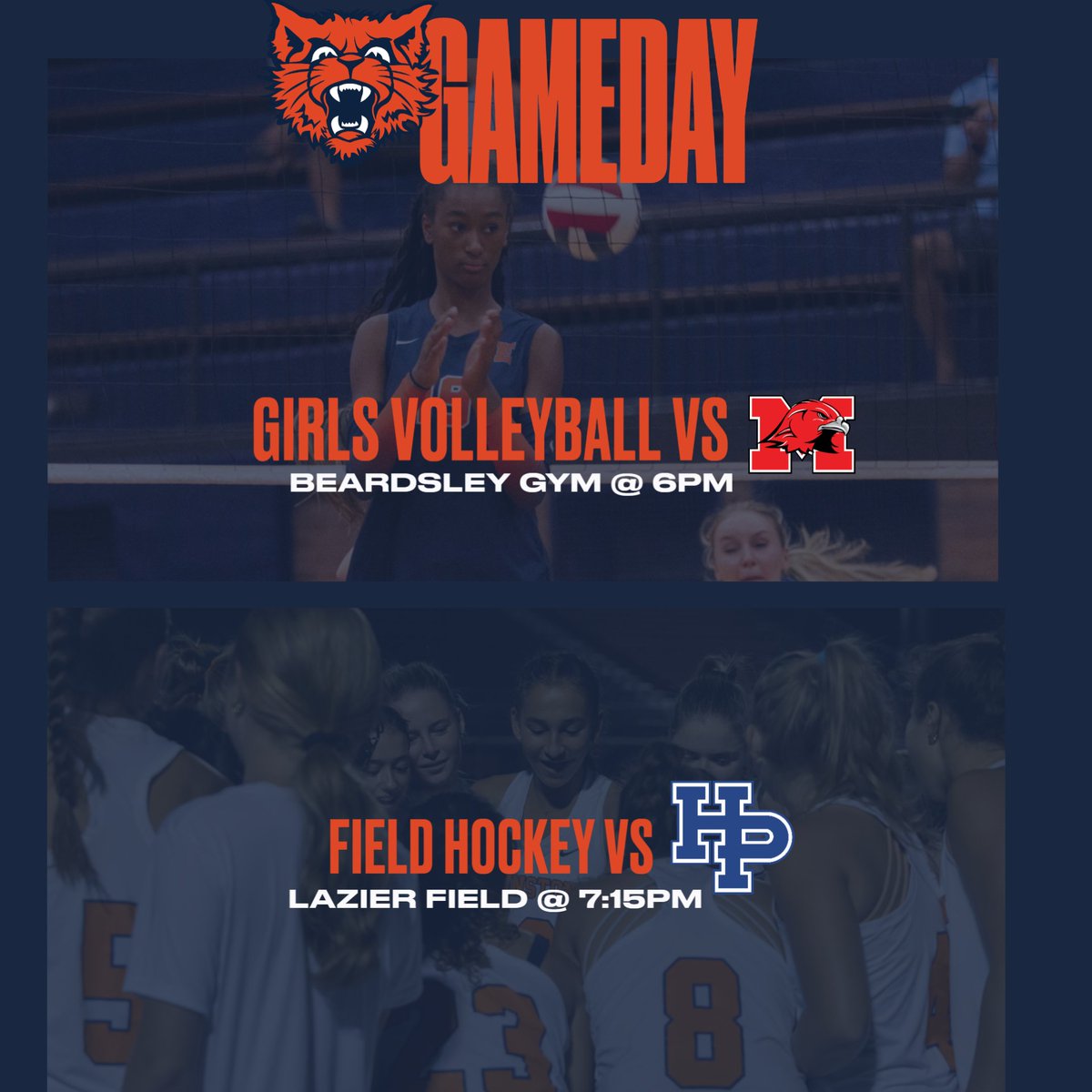 🐾 Catch the Kits at Home!🐾