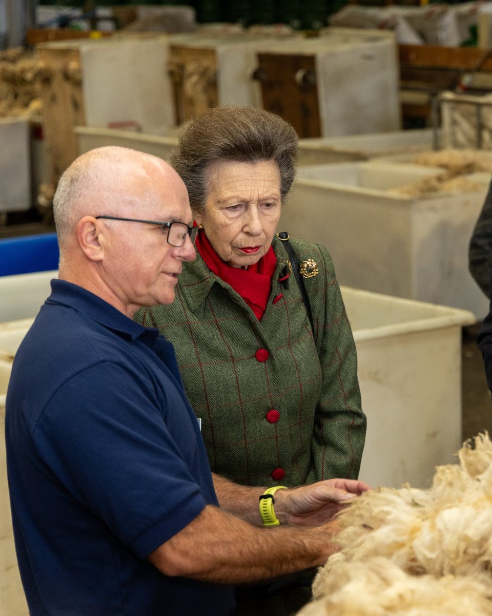 British Wool tweet media