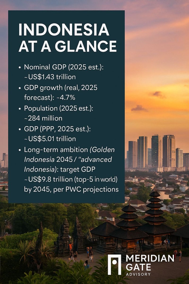 Meridian Gate Advisory tweet media