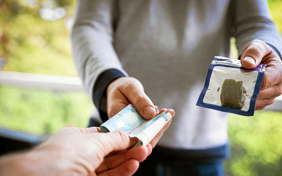 Près de 10 kg de cannabis découverts à Lorient : deux voisins seront jugés pour trafic de stupéfiants
➡️ go.letelegramme.fr/q3FN