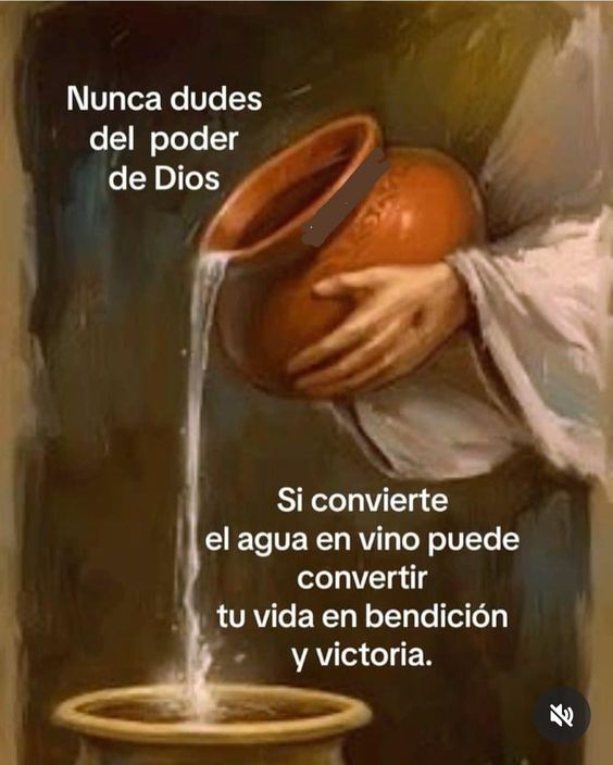 Pildorasdefe tweet media