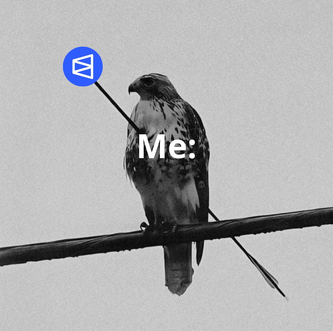 python_dao's tweet image. When you want to make a safe bet on @Polymarket, 
but the market still poses a challenge - hold on, no matter what

BUILD ON POLYMARKET